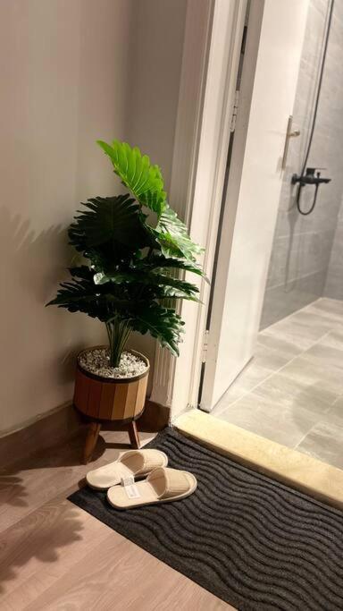 استديو انيق بموقع مميز بقرب البوليفارد Apartment